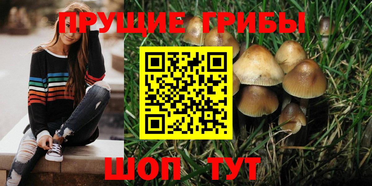 Галлюциногенные грибы ЛСД Зеленогорск