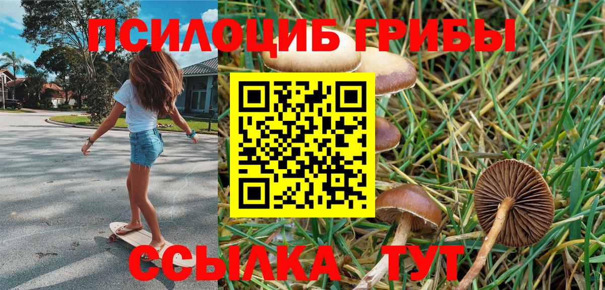 Зеленогорск  Галлюциногенные грибы Magic Shrooms  Вход с VPN  Галлюциногенные грибы GOLDEN TEACHER 